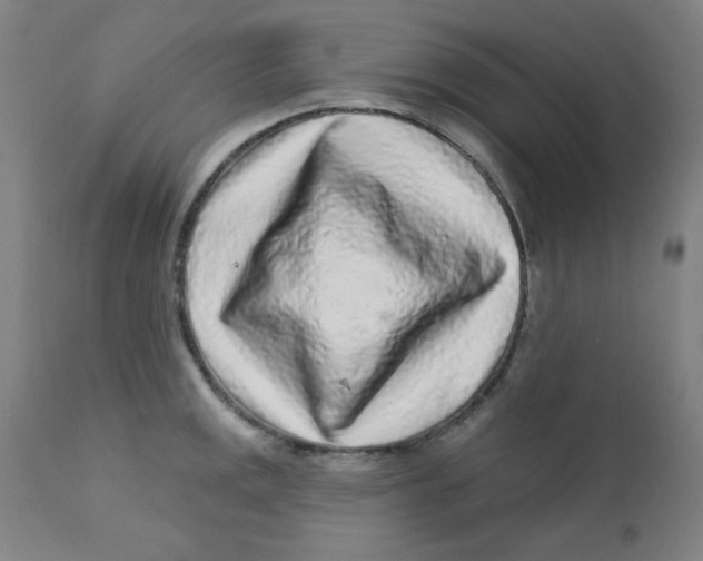 X0000112161141200909041120