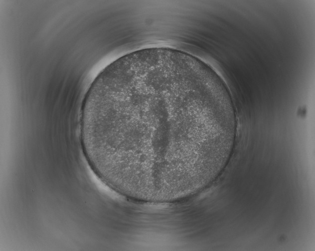 X0000112161143200909041120