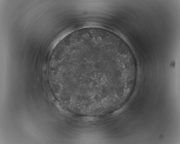 X0000112161145200909041120