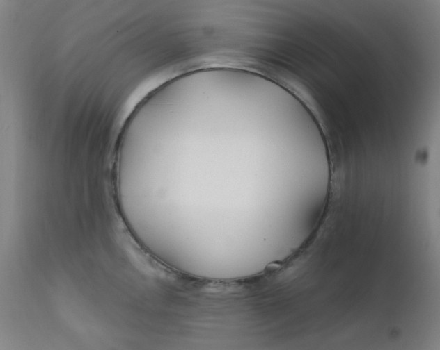 X0000112161146200909041120