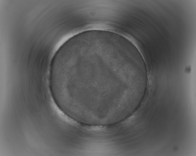 X0000112161147200909041120