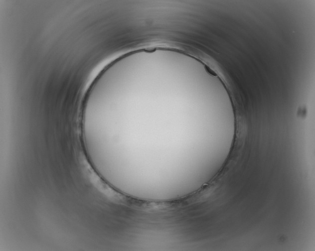 X0000112161148200909041120