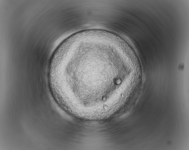 X0000112161149200909041120