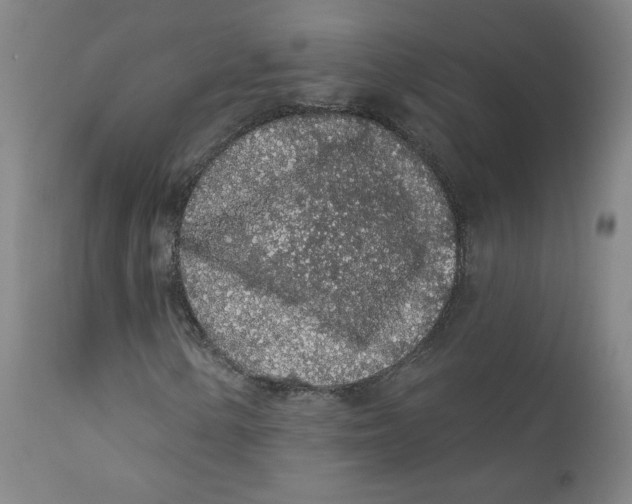 X0000112161154200909041120