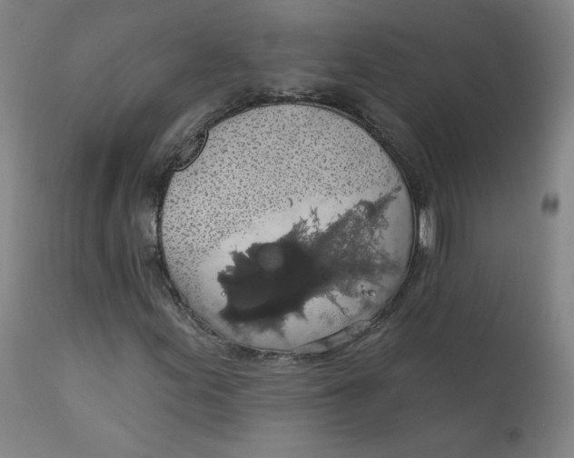 X0000112161155200909041120