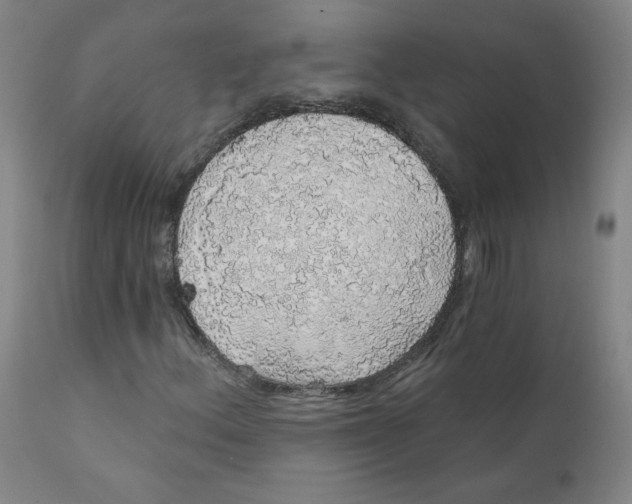 X0000112161156200909041120