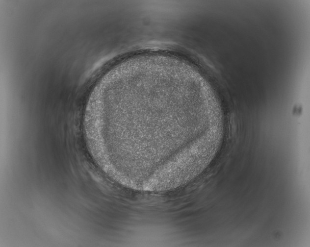 X0000112161158200909041120