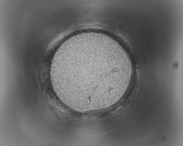 X0000112161159200909041120