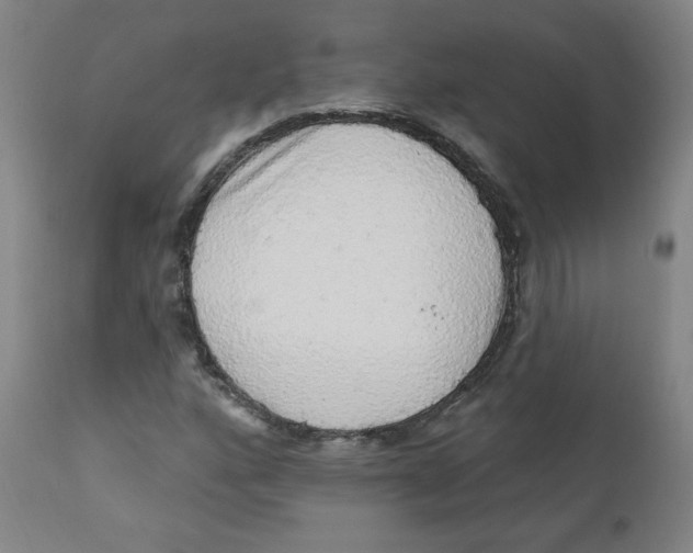 X0000112161160200909041120