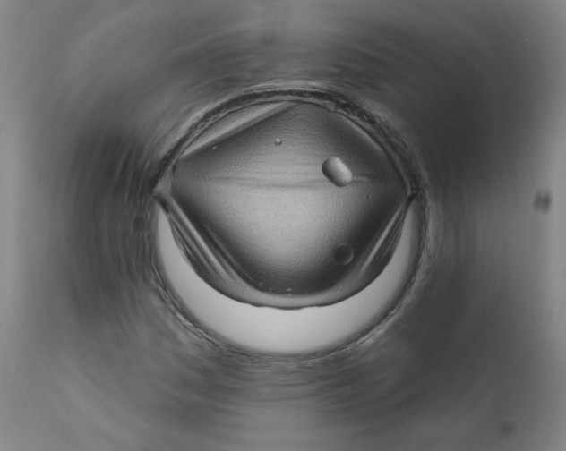 X0000112161161200909041120