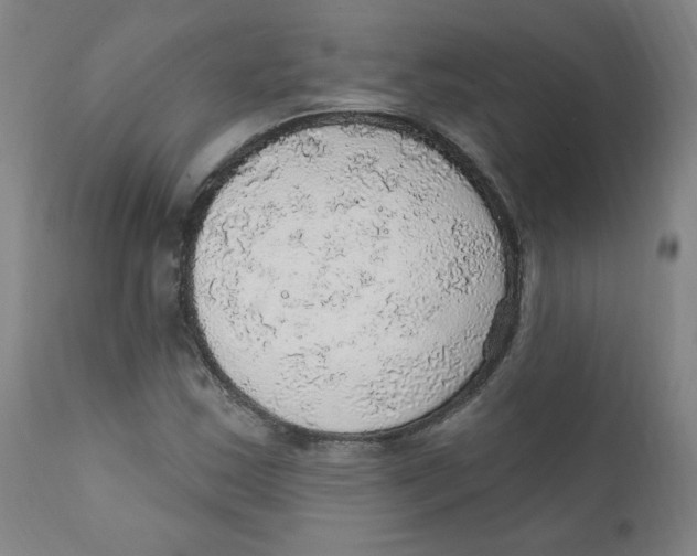 X0000112161163200909041120