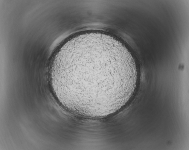 X0000112161164200909041120
