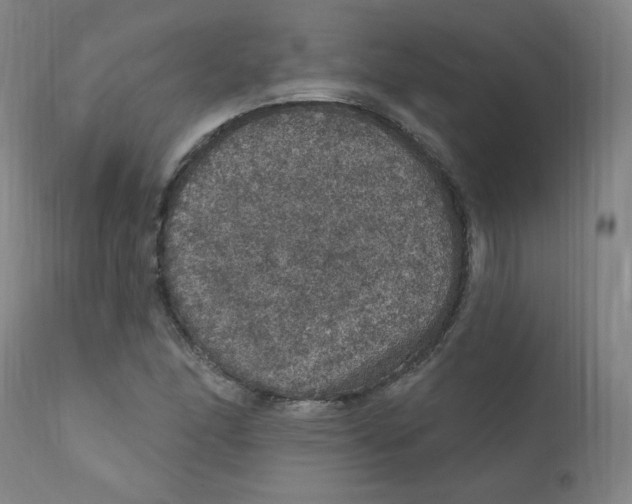 X0000112161166200909041119