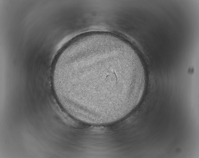 X0000112161168200909041119