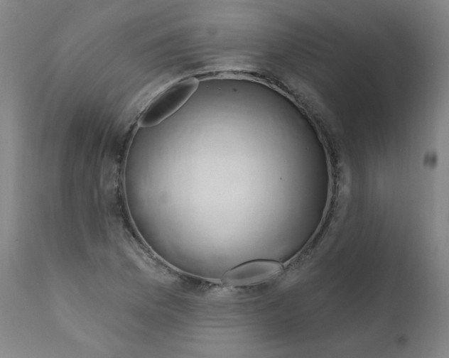 X0000112161169200909041119