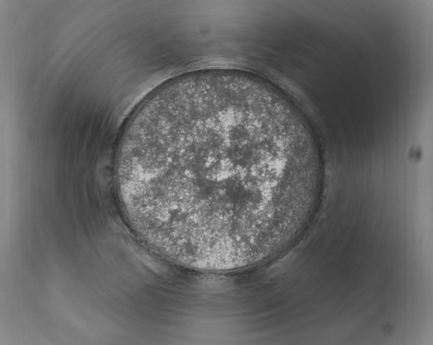 X0000112161170200909041119