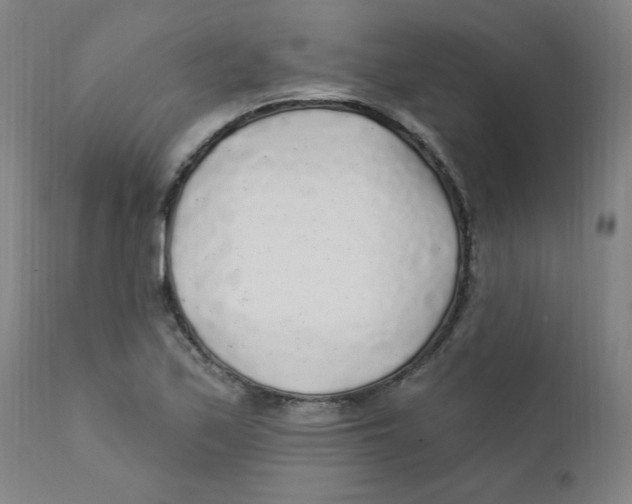 X0000112161171200909041119