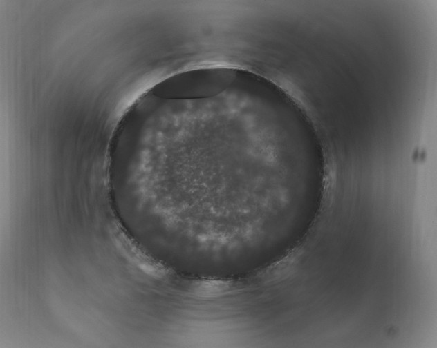 X0000112161173200909041119