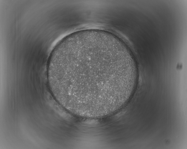 X0000112161174200909041119