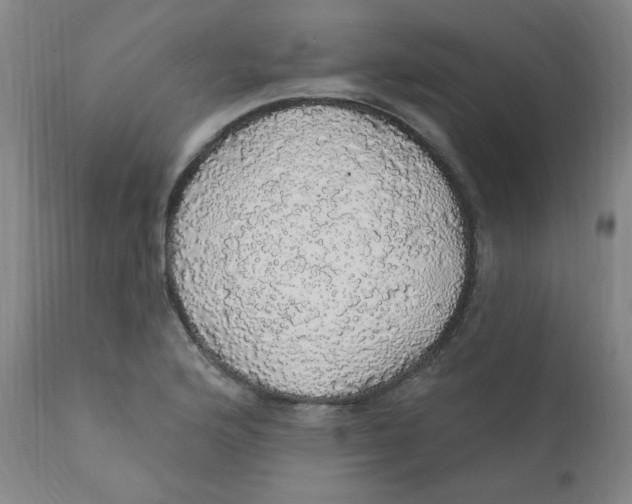 X0000112161176200909041119