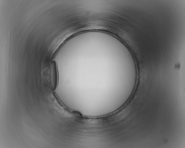 X0000112161177200909041119