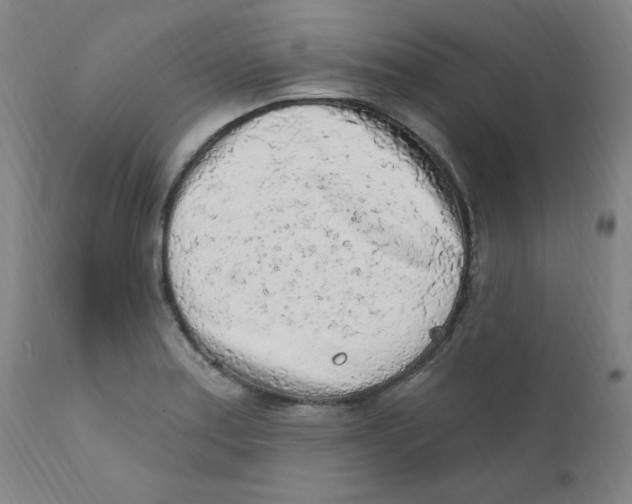 X0000112161179200909041119