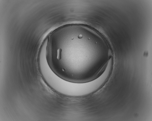 X0000112161181200909041119