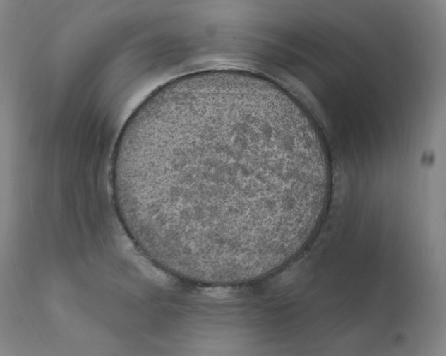 X0000112161182200909041119