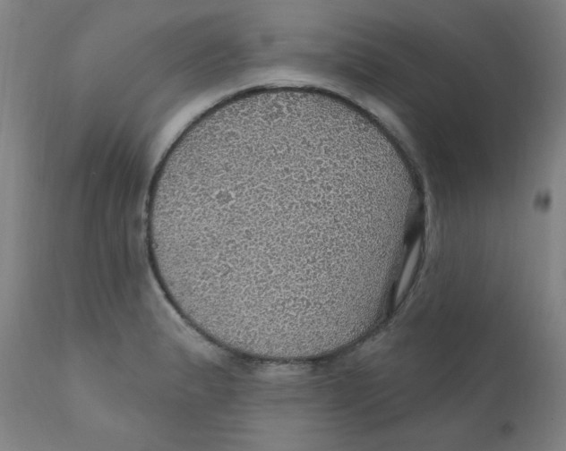 X0000112161183200909041119