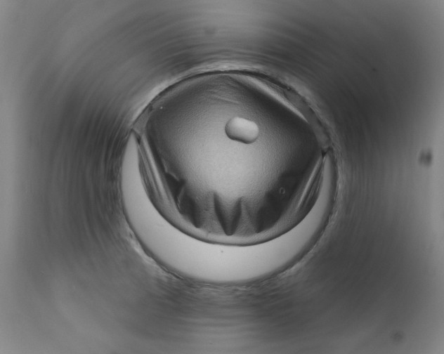 X0000112161185200909041119