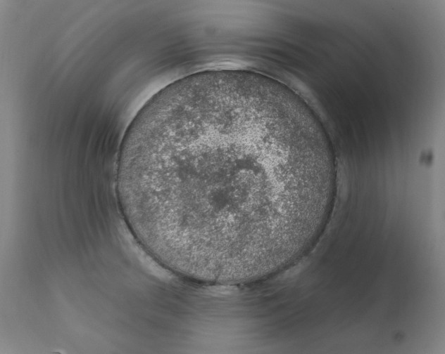X0000112161186200909041119