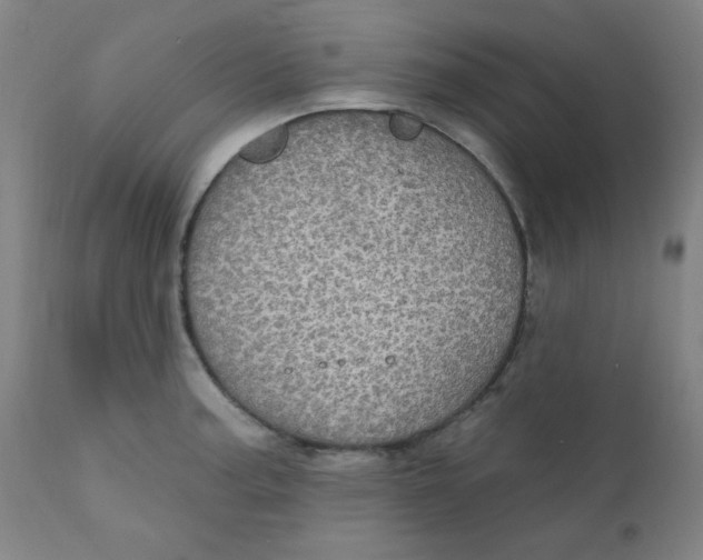 X0000112161187200909041119