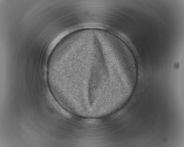 X0000112161188200909041119