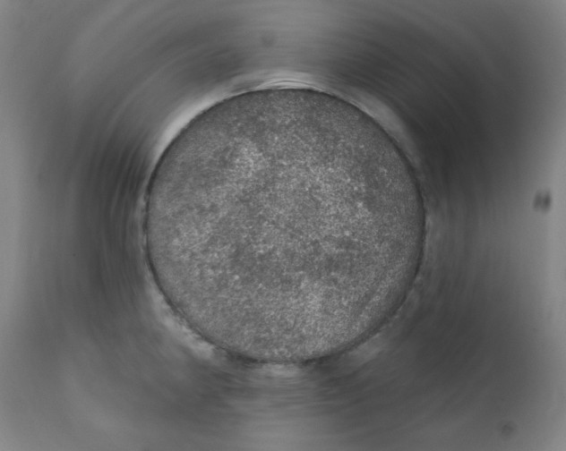 X0000112161190200909041119