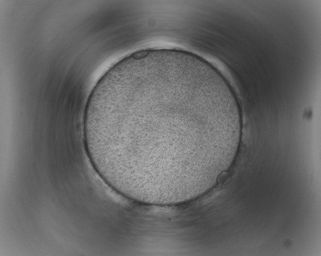 X0000112161191200909041119