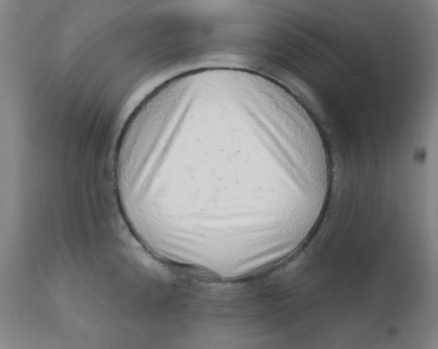 X0000112161192200909041119