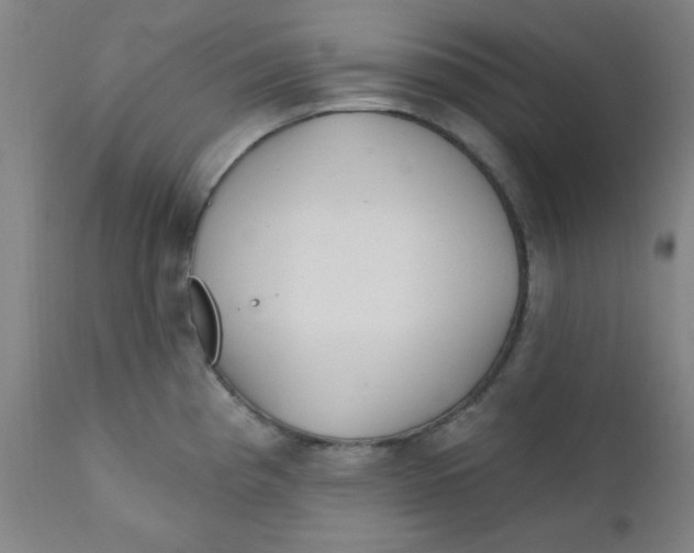 X0000112161193200909041119