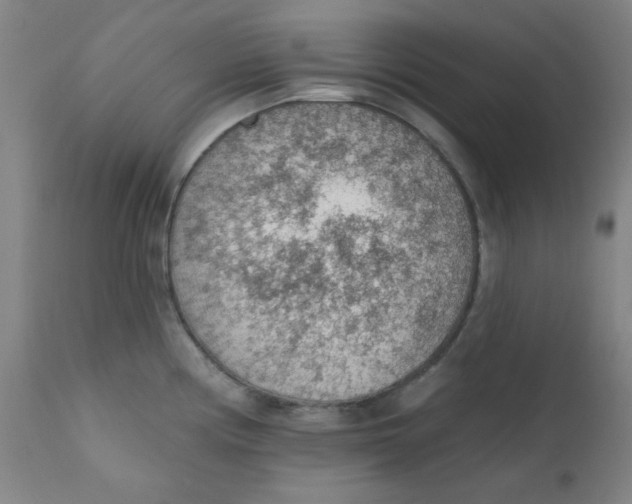 X0000112161194200909041119