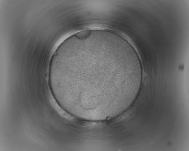 X0000112161195200909041119