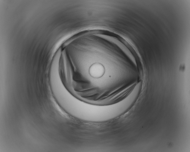 X0000112161197200909041119