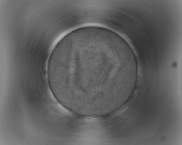 X0000112161199200909041119