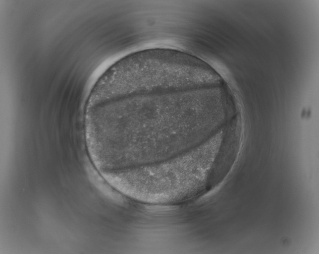 X0000112161200200909041119