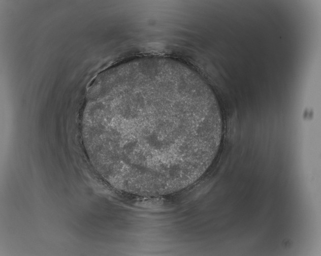 X0000112161201200909041118