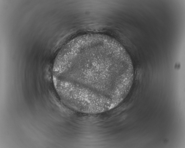 X0000112161202200909041118