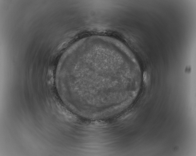 X0000112161203200909041118