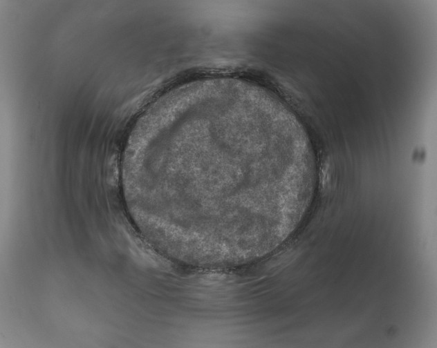 X0000112161204200909041118