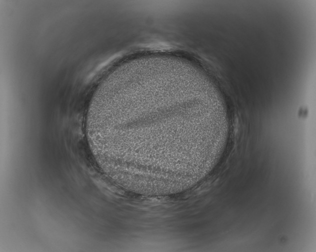 X0000112161205200909041118