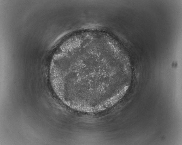 X0000112161206200909041118