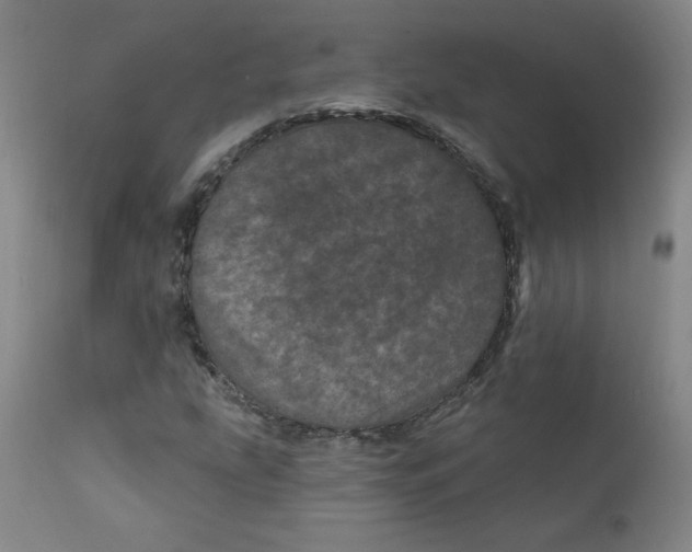 X0000112161207200909041118
