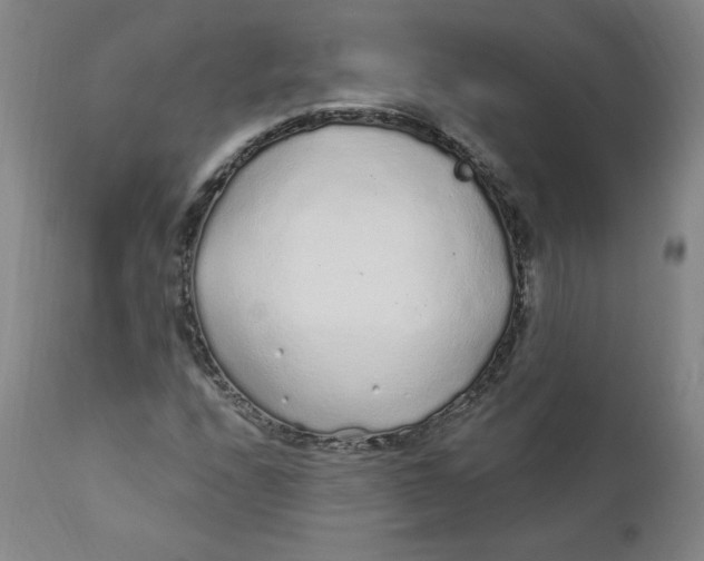X0000112161208200909041118